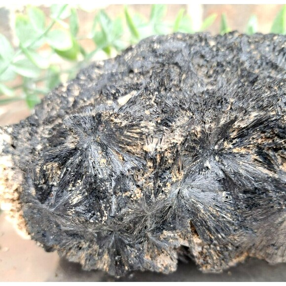 2.14lb 1288g  Rough Black Tourmaline Crystal Mineral Negativity Cleansing Stone - Picture 12 of 13